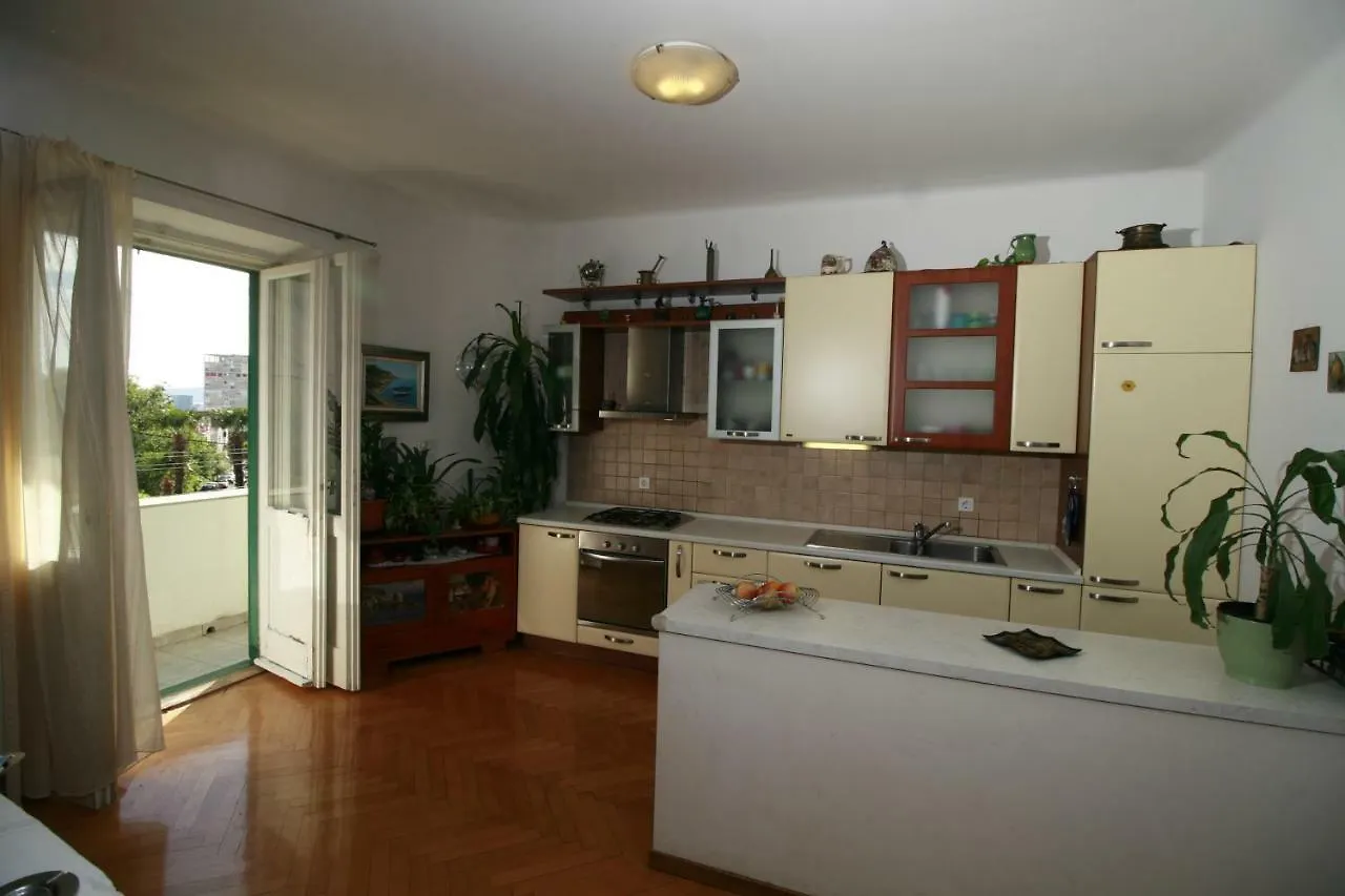 Spacious Apartment In The Center Split